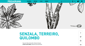 Publicações de mestras e mestres: <i>Senzala, Terreiro, Quilombo</i>